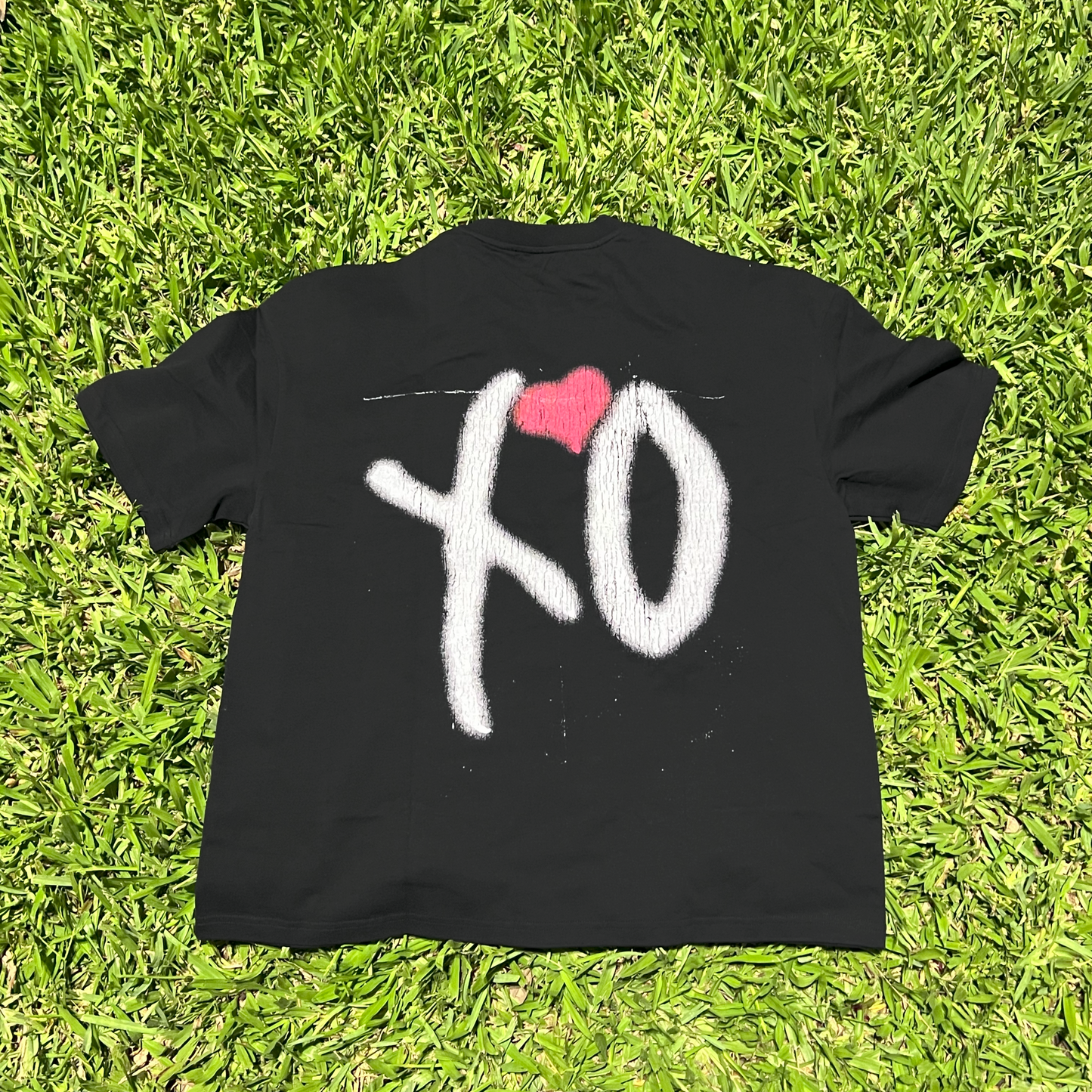 "TIMELESS" Heavyweight Cotton T-Shirt